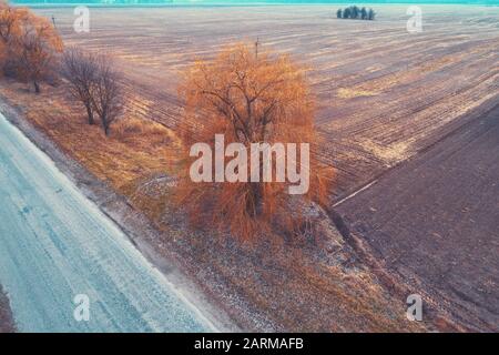 Blick auf die Landschaft. Direkte Landstraße und Ackerflächen am Herbstabend Stockfoto