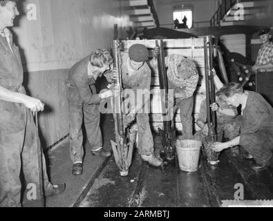 Vorbereitungen für den Segelflug von Willem Barendsz Beglätten der Harpunen Datum: 2. November 1959 Stichwörter: HARPOENS, Vorbereitungen, Verlassen Des Institutsnamens: Frau Willem Barentz Stockfoto