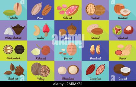 Nusssymbole festgelegt. Flache Reihe von Vektorsymbolen für das Webdesign Stock Vektor