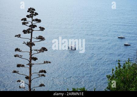 Baum- und Bootslandschaft vom Monterosso-Weg nach Vernazza, Cinque Terre, fünf Dörfer der italienischen Riviera am Mittelmeer Stockfoto