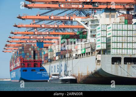 Rotterdam, Niederlande - 30. Juli 3019: Cosco Shipping Scorpio und Cosco PHILIPPINEN zwei große Containerschiffe, die im Hafen von Rotterdam b liegen Stockfoto