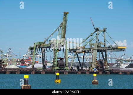 Niederlande, Rotterdam - 30. Juli 2019; Coal Terminal wih große Industriekräne für den Transport von Kohle auf der Maasvlakte im Hafen von Rott Stockfoto