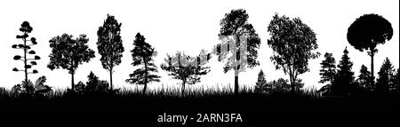 Silhouettenplakat für Waldbäume. Bäume Silhouette auf weißem Hintergrund, Vektorgrafiken Stock Vektor