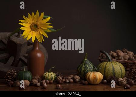 Stillleben mit Sonnenblume, Bumkins, Rad und Walnüssen in einem klassischen Kunstbild Stockfoto