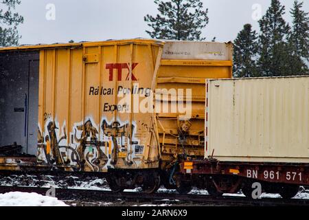 Ein zerscherbter TTX Railroad Box-Wagen Im BNSF Train Yard in der Stadt Troy, Montana. Stockfoto