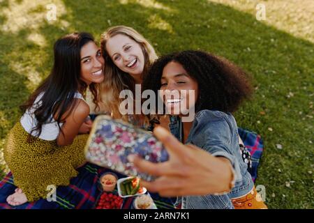 Ein erhöhter Blick auf fröhliche multirassische Freunde, die selfie beim Picknick im Park auf das Handy nehmen Stockfoto