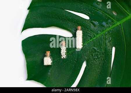 Homöopathische Globules in drei Glasflaschen auf nassem Palmblatthintergrund. Stockfoto