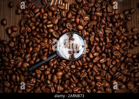 Lupe aus Glas auf gebratenen Kaffeebohnen. Das Konzept, einen Lieferanten zu finden. Draufsicht. Nahaufnahme. Stockfoto