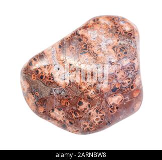 Nahaufnahme der natürlichen Mineralprobe aus der geologischen Sammlung - Kieselstein aus Leopardenhautjaspis (Jaguar Stone), isoliert auf weißem Grund Stockfoto