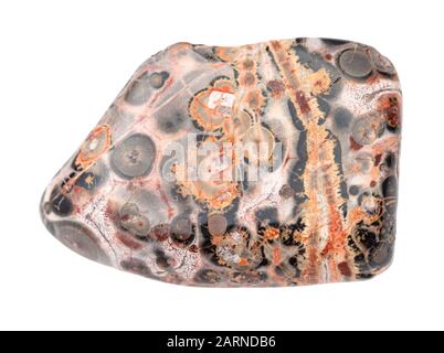 Nahaufnahme der natürlichen Mineralprobe aus der geologischen Sammlung - polierter Jaspis aus Leopardenhaut (Jaguar Stone), isoliert auf weißem Grund Stockfoto