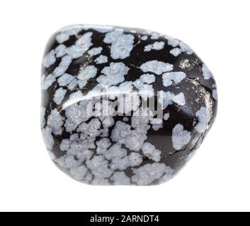 Nahaufnahme der natürlichen Mineralprobe aus der geologischen Sammlung - polierter, auf weißem Grund isolierter Snowflake Obsidian Edelstein Stockfoto