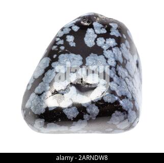 Nahaufnahme der natürlichen Mineralprobe aus der geologischen Sammlung - verstümmelter, auf weißem Grund isolierter Snowflake Obsidian Edelstein Stockfoto