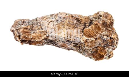 Nahaufnahme der natürlichen Mineralprobe aus der geologischen Sammlung - rauer Bronzit-(Enstatit-)Felsen isoliert auf weißem Grund Stockfoto