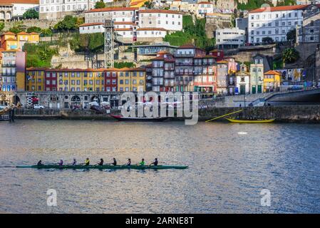 Ruderer in einer gecoxten acht, ein Ruderboot auf dem Fluss Douro, das von der Stadt Vila Nova de Gaia, Portugal, aus gesehen wird. Porto Stadt im Hintergrund Stockfoto