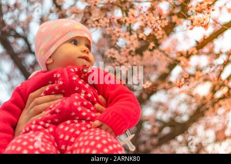 Portrait eines süßen 10 Monate alten Babymädchens in rosafarbenem Outfit mit blühendem Baum im Hintergrund an einem sonnigen Frühlingstag Stockfoto