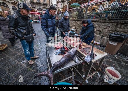Schwertfisch auf einem Stand auf dem berühmten alten Fischmarkt namens La Pescheria in der Stadt Catania, östlich der Insel Sizilien, Italien Stockfoto