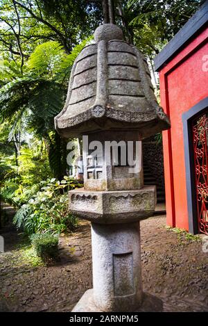 Tropischer Garten auf dem Monte oberhalb von Funchal Madeira. Dieser wunderbare Garten befindet sich am oberen Rand der Seilbahn von der Küste in Funchal Stockfoto