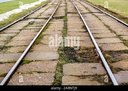 Schienen von Straßenbahngleisen schließen sich mit Gras zusammen Stockfoto