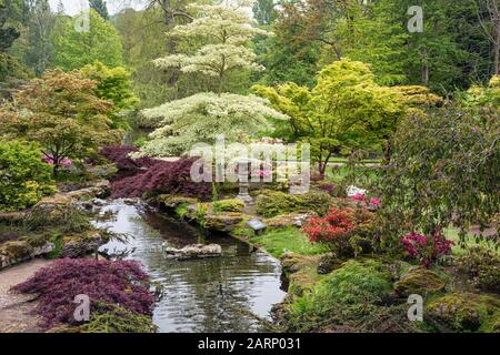 Der japanische Garten bei Samarès Manor, Jersey Stockfoto