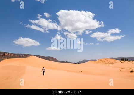 Junge Frau, die allein in einer Wüstenlandschaft wandert, Coral Pink Sand Dunes State Park, Utah, USA Stockfoto