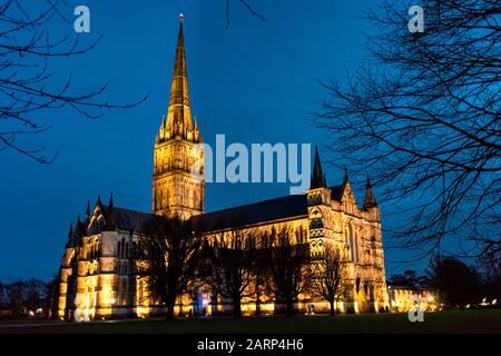 Kathedrale von Salisbury in der Nacht Stockfoto