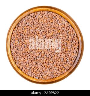 Rosenkörner in Holzschüssel. Raphanus sativus, ein essbares Wurzelgemüse. Sämenkorner für Sprouting. Isoliertes Makro-Food-Foto, Nahaufnahme, von oben. Stockfoto