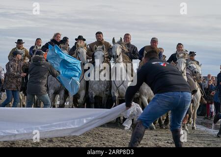 Running of the Bulls on the Beach Saintes marie de la mer Stockfoto