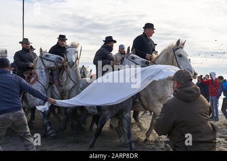 Running of the Bulls on the Beach Saintes marie de la mer Stockfoto