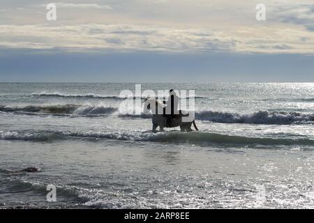 Running of the Bulls on the Beach Saintes marie de la mer Stockfoto