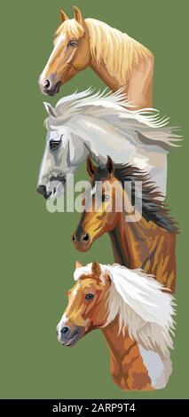 Vertikale Postkarte mit Laufpferden. Bunte vektorrealistische Porträts von Pferden im Profil. Gruppe von Pferden isoliert auf grünem Hintergrund. Vektor Stock Vektor