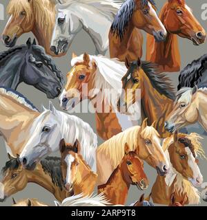 Buntes Vektor nahtloses Muster mit realistischen Porträts von Pferderassen. Vektor farbenfroher Hintergrund mit Porträts von Pferden. Abbildung ist gut Stock Vektor