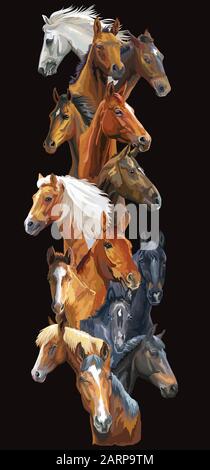 Vertikale Postkarte mit Pferden. Bunte vektorrealistische Porträts von Pferden. Große Gruppe von Pferden isoliert auf schwarzem Hintergrund. Vektor bunte illust Stock Vektor