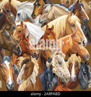 Buntes Vektormuster mit realistischen Porträts von Pferderassen. Vektor farbenfroher Hintergrund mit Porträts von Pferden. Abbildung ist gut für Postc Stock Vektor
