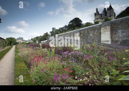 Frankreich, Indre et Loire-Tal, das von der UNESCO zum Weltkulturerbe erklärt wird, Rigny Usse, Gärten Chateau d'Usse, untere Terrasse und Pflanzen für Jahrbücher Blumen Stockfoto