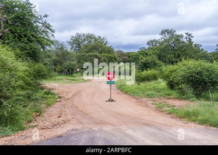 Starker saisonaler Sommerregen im Kruger-Nationalpark in Südafrika verursacht die Sperrung von Schmutzwegen im Parkbild in horizontaler Form Stockfoto