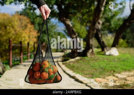 Mann mit wiederverwendbarer Mesh-Einkaufstasche mit frisch gepickten Orangen. Null-Abfall-Konzept. Sonniger Tag Stockfoto