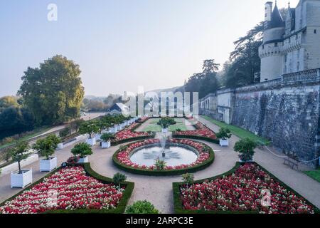 Frankreich, Indre et Loire-Tal, das von der UNESCO zum Weltkulturerbe erklärt wurde, Rigny Usse, Gärten Chateau d'Usse, obere Terrasse und französischer Garten desig Stockfoto