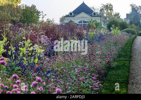 Frankreich, Indre et Loire, Loire-Tal, das von der UNESCO zum Weltkulturerbe erklärt wurde, Rigny Usse, Gärten Chateau d'Usse, einjährige Pflanzen, die im Oktober mit Blumen bewachsen sind Stockfoto