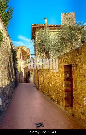 San Gimignano, Toskana, Italien alte, mittelalterliche enge Straße und Olivenbäume in der typischen toskanischen Stadt, beliebtes Touristenziel Stockfoto