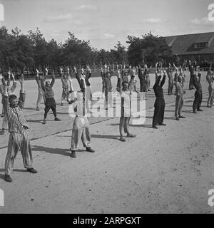 Reportage aus dem Lager in Vught Im Straflager in Vught, 7000 niederländische Mitarbeiter und Verräter sind gesperrt. Soldaten der niederländischen Stoottroopers sind für die Garde zuständig, insbesondere für die 300 niederländischen SS-Männer. Unter der Führung des Lagerkommandanten, Major L. Mennes, und seiner Helfer werden diese Häftlinge verwendet, um die Umgebung von Vught von Landminen zu reinigen. Sie sind mit den blau-weiß gestreiften Gefängnispaketen der von den Deutschen gefangenen ehemaligen Holländer bekleidet. Die Häftlinge erhalten die ebenfalls reduzierte zivile Mindestration, weil alle Delikatessen beseitigt wurden Stockfoto