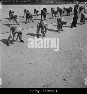 Reportage aus dem Lager in Vught Im Straflager in Vught, 7000 niederländische Mitarbeiter und Verräter sind gesperrt. Soldaten der niederländischen Stoottroopers sind für die Garde zuständig, insbesondere für die 300 niederländischen SS-Männer. Unter der Führung des Lagerkommandanten, Major L. Mennes, und seiner Helfer werden diese Häftlinge verwendet, um die Umgebung von Vught von Landminen zu reinigen. Sie sind mit den blau-weiß gestreiften Gefängnispaketen der von den Deutschen gefangenen ehemaligen Holländer bekleidet. Die Häftlinge erhalten die ebenfalls reduzierte zivile Mindestration, weil alle Delikatessen beseitigt wurden Stockfoto