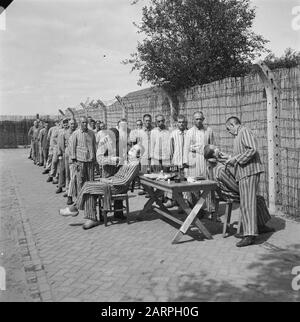 Reportage aus dem Lager in Vught Im Straflager in Vught, 7000 niederländische Mitarbeiter und Verräter sind gesperrt. Soldaten der niederländischen Stoottroopers sind für die Garde zuständig, insbesondere für die 300 niederländischen SS-Männer. Unter der Führung des Lagerkommandanten, Major L. Mennes, und seiner Helfer werden diese Häftlinge verwendet, um die Umgebung von Vught von Landminen zu reinigen. Sie sind mit den blau-weiß gestreiften Gefängnispaketen der von den Deutschen gefangenen ehemaligen Holländer bekleidet. Die Häftlinge erhalten die ebenfalls reduzierte zivile Mindestration, weil alle Delikatessen beseitigt wurden Stockfoto