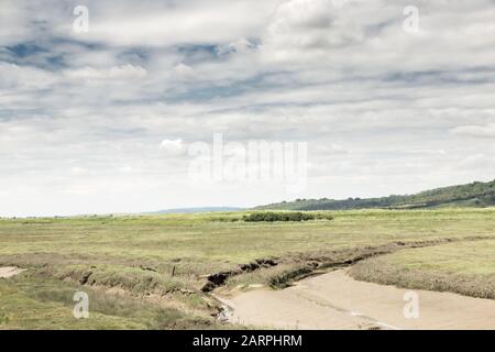 Marschland an einem sonnigen Tag in der Nähe von hadleigh in essex Stockfoto