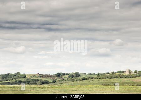 Grünes Fierd mit nahe hadleigh mit der zerstörten Burg im Hintergrund Stockfoto