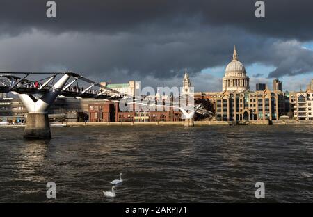 London - 28. JANUAR: Fußgänger überqueren die Millennium Bridge in London im Wintersonnenlicht, das auf die Kuppel der St. Paul's Cathedral scheint, während zwei Schwäne an der Themse vorbeiziehen. Foto: © 2020 David Levenson Stockfoto