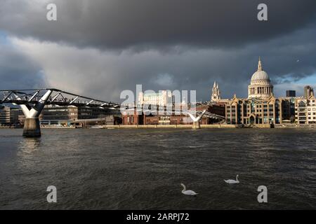 London - 28. JANUAR: Fußgänger überqueren die Millennium Bridge in London im Wintersonnenlicht, das auf die Kuppel der St. Paul's Cathedral scheint, während zwei Schwäne an der Themse vorbeiziehen. Foto: © 2020 David Levenson Stockfoto