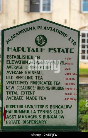 Haputale, Sri Lanka - 23. november 2019: Infos in der Teefabrik in der Teeplantage bei Haputale. Sri Lanka. Stockfoto