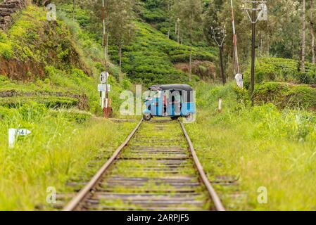 Haputale, Sri Lanka - 23. november 2019: Tuk Tuk croos die Straße in der Teefabrik in der Teeplantage bei Haputale. Sri Lanka. Stockfoto