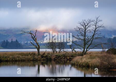 Blick über Derwent Water im Lake District. Stockfoto