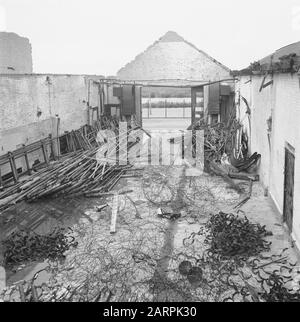 Hengstgenehmigung bei den Bosch Datum: 21. Juni 1946 Standort: Den Bosch Stichworten: Hengstzulassungen Stockfoto